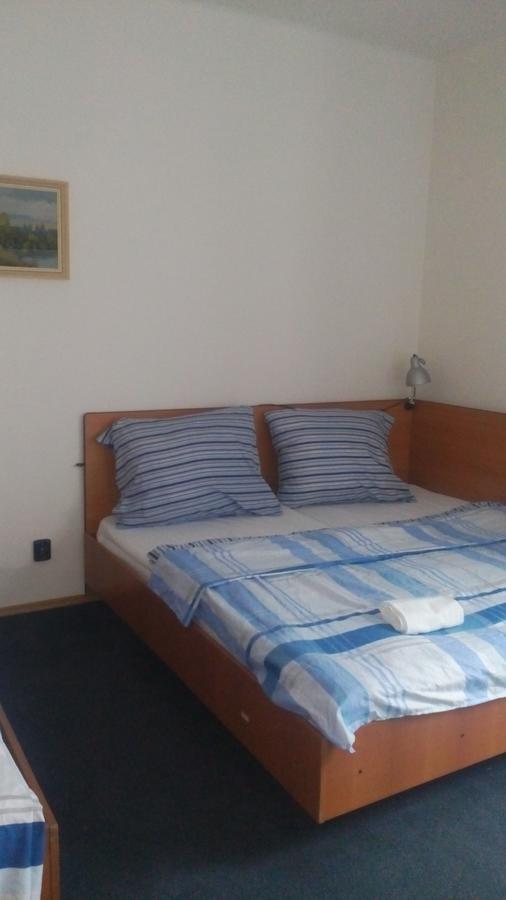 Velké Hamry Hotel Britz מראה חיצוני תמונה