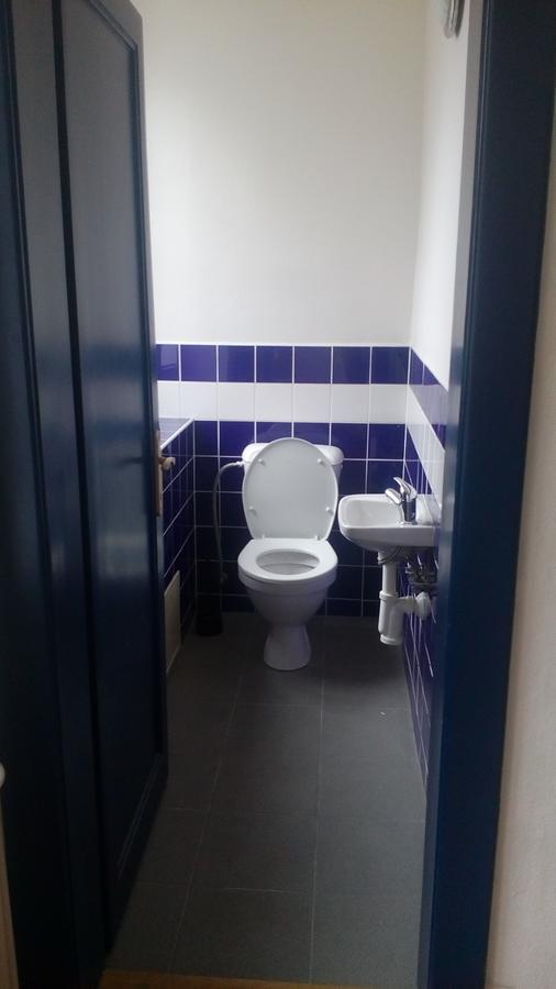 Velké Hamry Hotel Britz מראה חיצוני תמונה